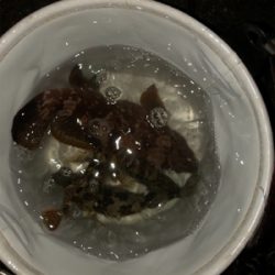 アジ、メバル狙ってたのに