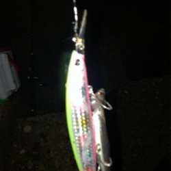 年末最後に青物で締め