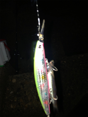 年末最後に青物で締め