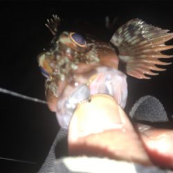 ほんとの釣り納め