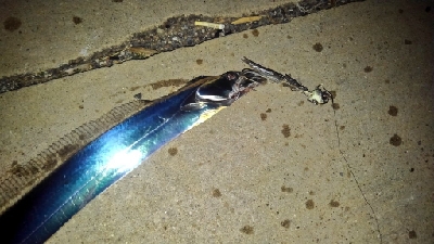 塩浜埠頭テンヤ激あつ