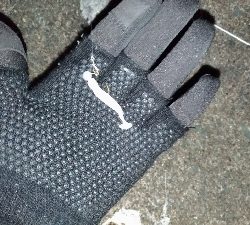 クロソイを追いかけて