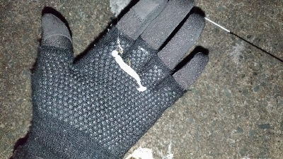 クロソイを追いかけて