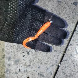 ビッグワームに変えてみると…？