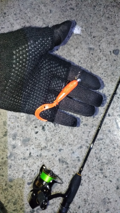 ビッグワームに変えてみると…？