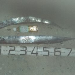 12/15釣果チヌ10枚とタチウオF4