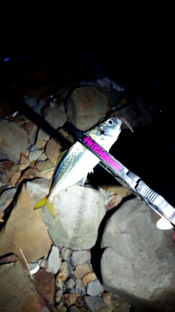 フロートアジング