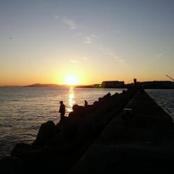 F6 125㎝　ドラゴン