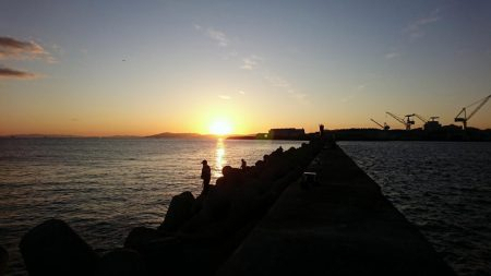 アジング 数は伸びました!