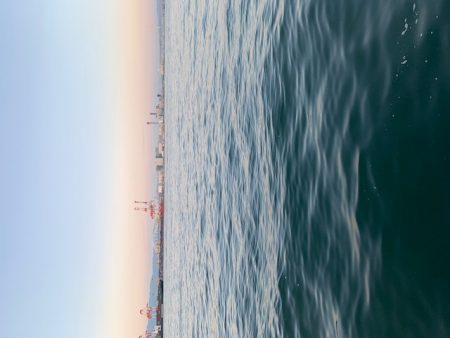 F6 125㎝　ドラゴン