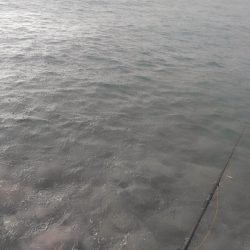 もう終わりなのか?