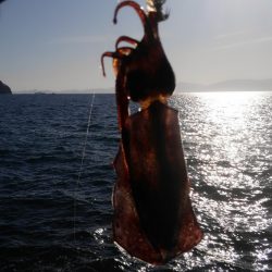 月に応援してもらったけど？