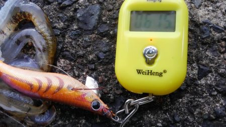 今シーズン最大～⤴