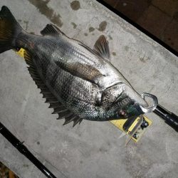 半夜で　~辰巳橋~