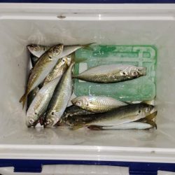 二日前と全然違う