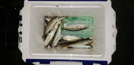 二日前と全然違う