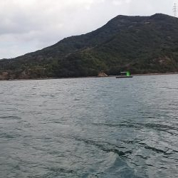 シーズン初期のカレイ