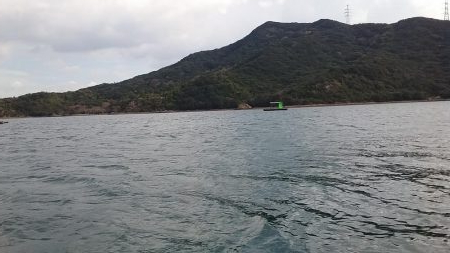 シーズン初期のカレイ