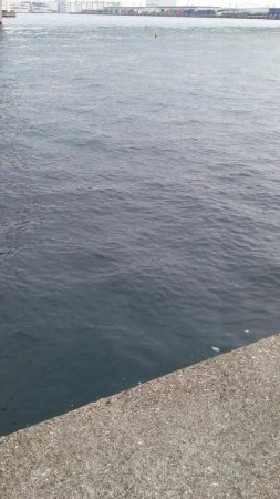 朝は明るくなってから