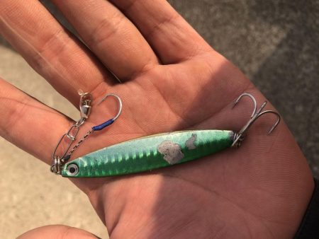 今日はジグで青物