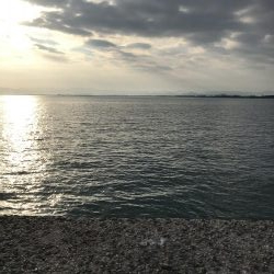 サゴシ釣れてますよ~