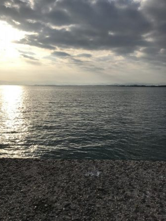 サゴシ釣れてますよ~