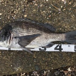 イチノ兄弟、釣果！