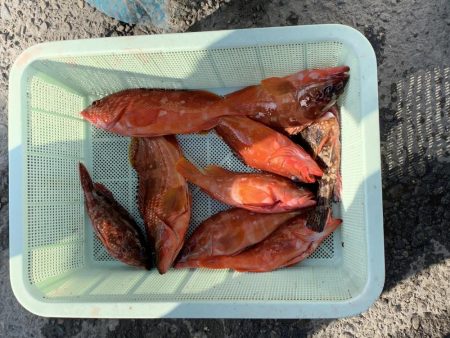根魚狙い
