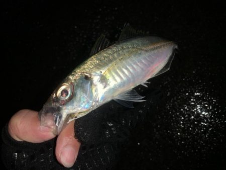 仕事が終わったら私事だぜ