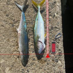 メリクリ&釣り納め(仮)