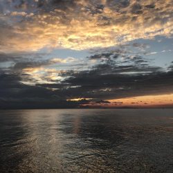 ガシラに負けずにデカいべら