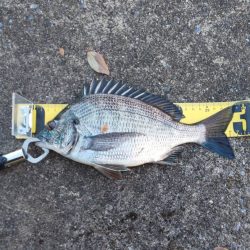 ボウズ脱出　~ささなみ公園~