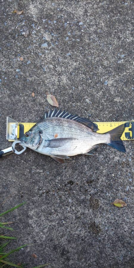 ボウズ脱出　~ささなみ公園~