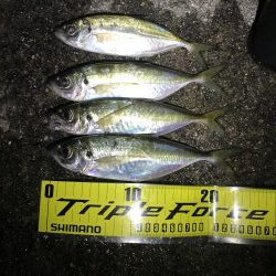 淡路がホームに