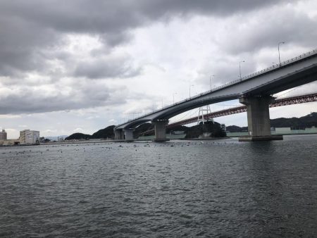 カサゴ？ソイ？