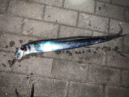 コスモ 今日は渋い