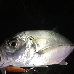 ドブ川メッキゲーム