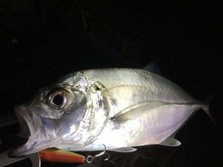 ドブ川メッキゲーム