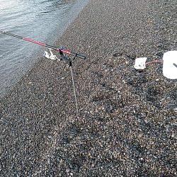 まだまだ小さいようです!!