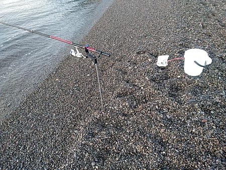 まだまだ小さいようです!!