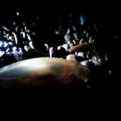 今日は、当たりが多かったです！！