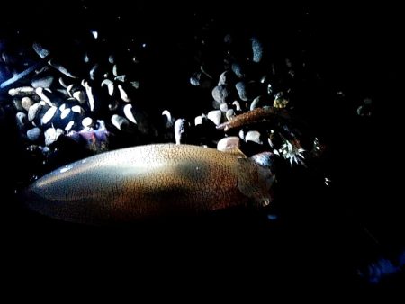 今日は、当たりが多かったです！！