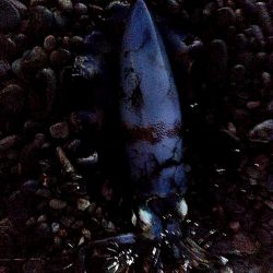 小型ですが、何とか一杯確保でした!!