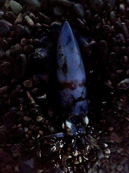 小型ですが、何とか一杯確保でした!!