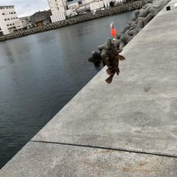 初心者の穴釣り