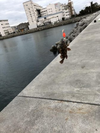 初心者の穴釣り