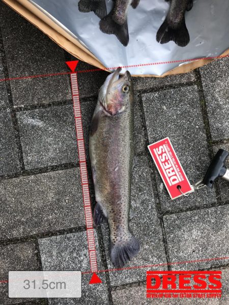 トラウト12月13日