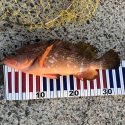 まさかのキャッチ