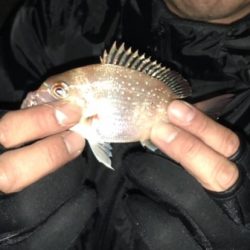 アジュール舞子