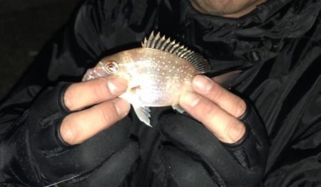 アジュール舞子